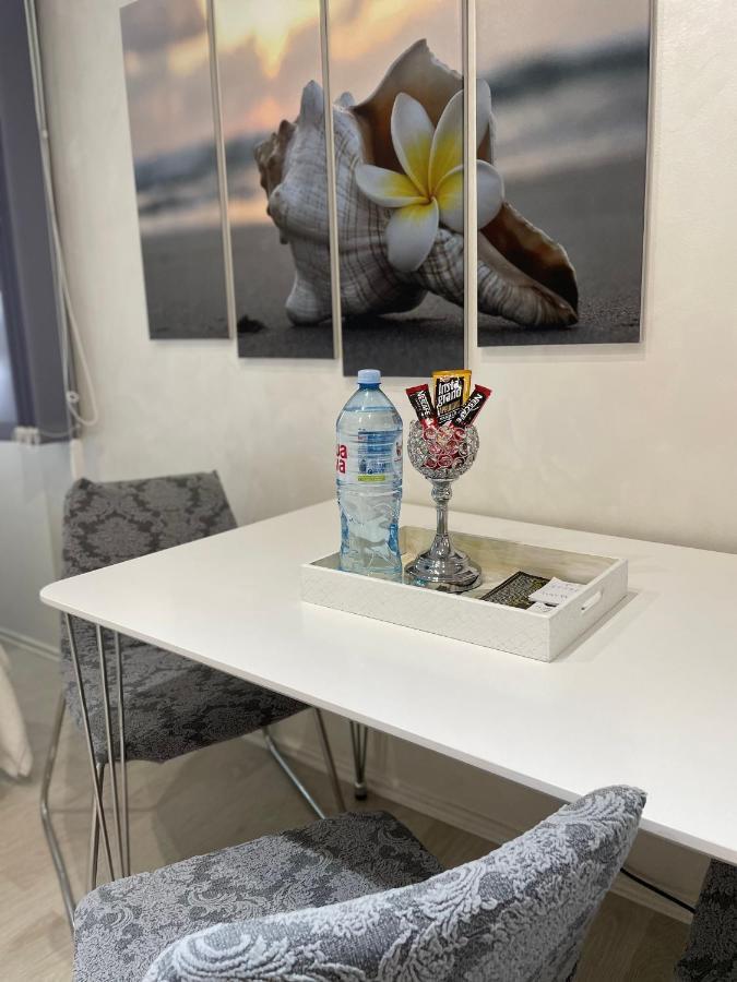 Airport Apartment Belgrad Dış mekan fotoğraf